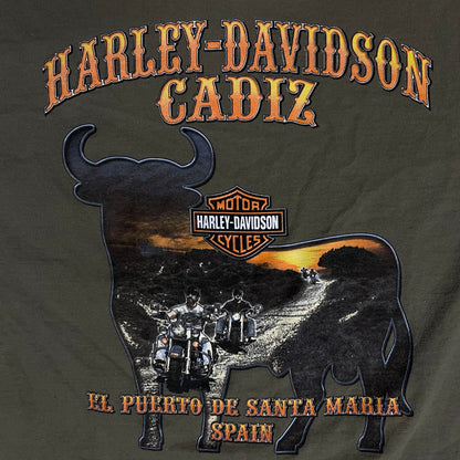 2007 HARLEY DAVIDSON SPAIN T SHIRT - L