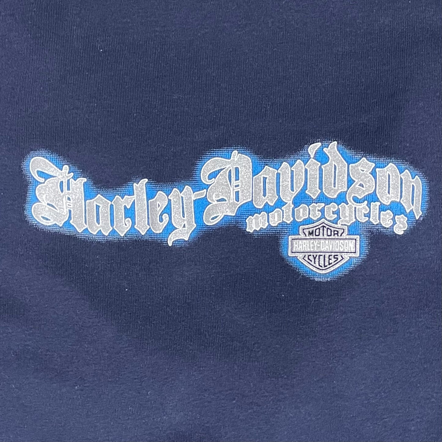 Y2K HARLEY DAVIDSON SWEATSHIRT - WOMEN’S M