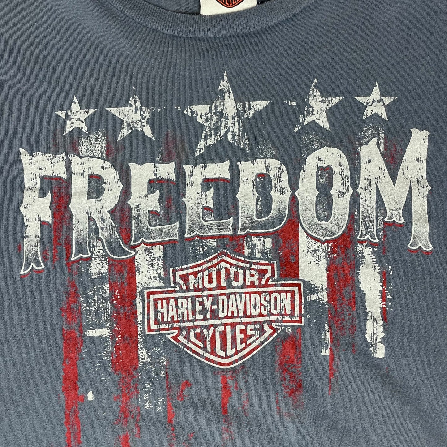 HARLEY DAVIDSON FREEDOM T SHIRT - XXXXXL