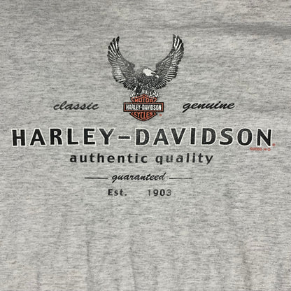 VINTAGE 1996 HARLEY DAVIDSON BUFFALO T SHIRT - XL