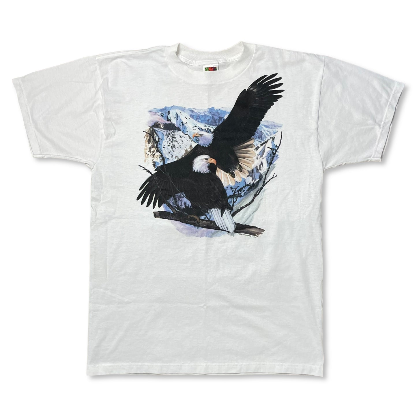 VINTAGE SNOWY MOUNTAIN EAGLES T SHIRT - L