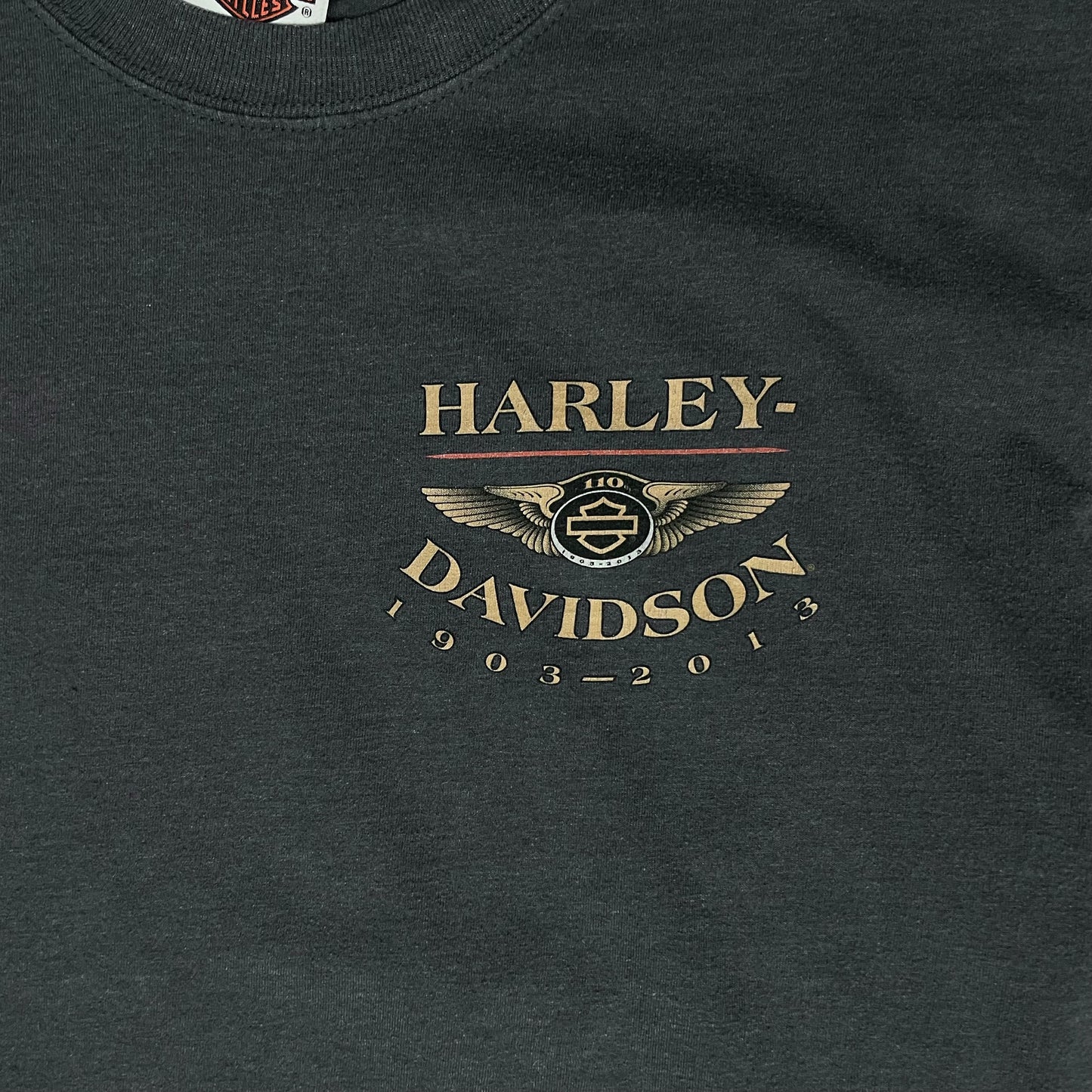 HARLEY DAVIDSON 110TH ANNIVERSARY T SHIRT - L