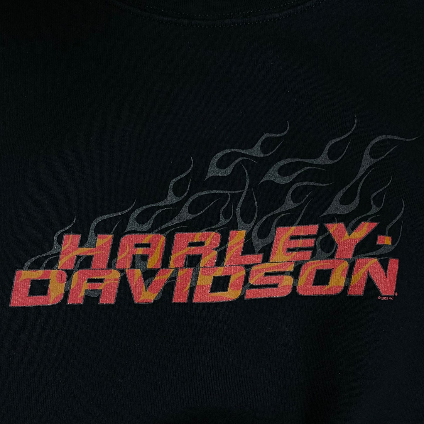 HARLEY DAVIDSON FLAMES LOGO SWEATSHIRT - XXL