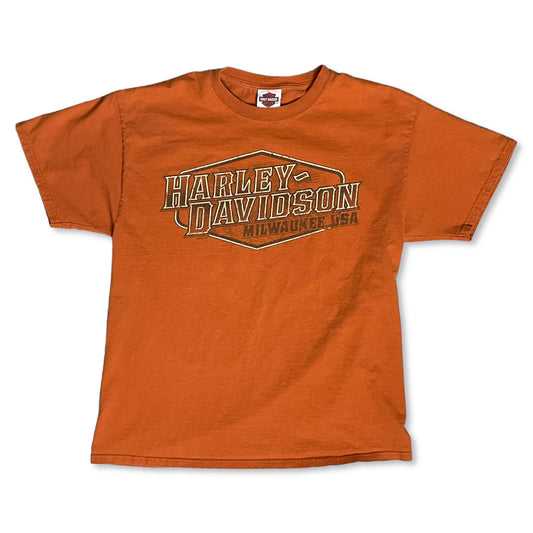 HARLEY DAVIDSON EAGLE T SHIRT - L